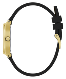 GW0658L1