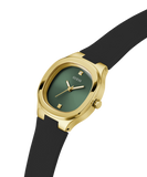 GW0658L1